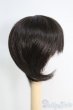画像2: 6〜7inch/ウィッグ I-25-06-01-3024-KN-ZI (2)