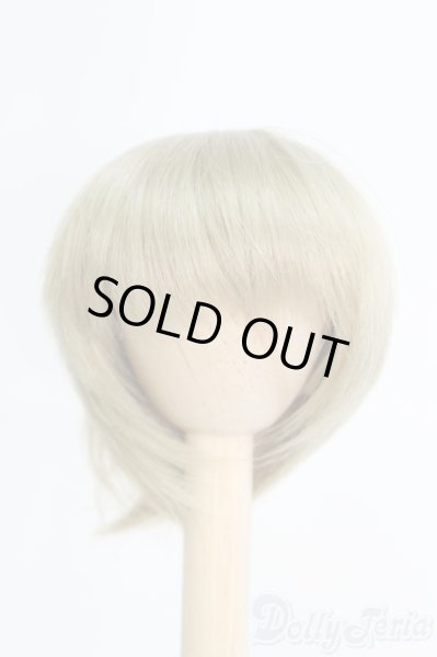 画像1: 7〜8inch/ウィッグ I-25-06-29-3026-KN-ZI (1)