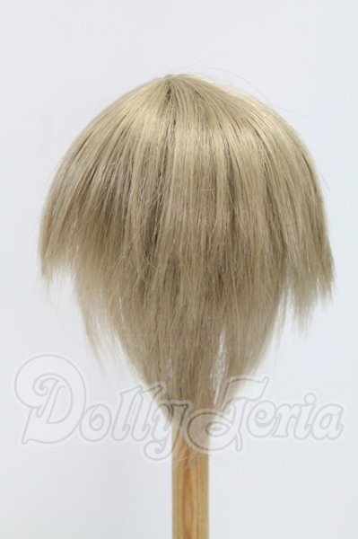 画像2: 9〜10inch/ウィッグ I-26-07-23-212-TO-ZI (2)