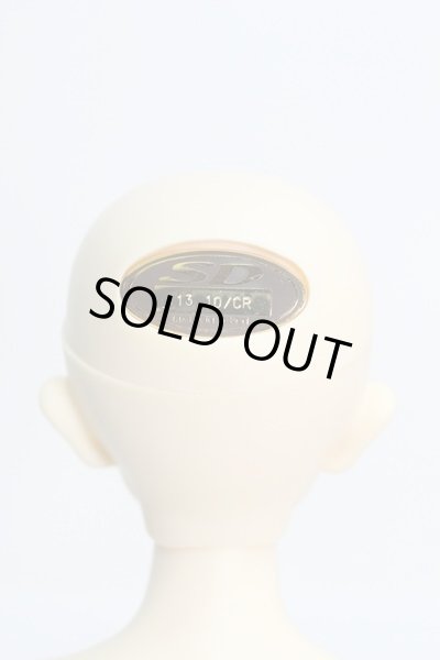 画像4: 幼MIDIレイズナーヘッド+SDMボディ I-24-04-21-1005-TO-ZI (4)