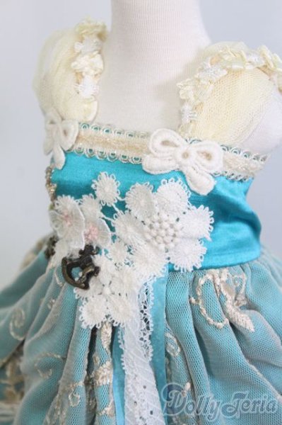 画像3: SD/OF：ディーラー製ドレスセット/ I-25-07-13-2036-KN-ZI (3)