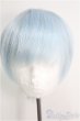 画像1: 8〜9inch/ウィッグ I-25-01-05-2043-TO-ZI (1)