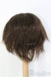 画像2: 9〜10inch/ウィッグ I-25-01-19-2027-TO-ZI (2)