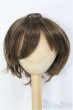 画像1: 7〜8inch/ウィッグ I-25-01-19-2017-GN-ZI (1)