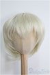 画像1: 8〜9inch/ウィッグ I-25-01-26-2046-GN-ZI (1)