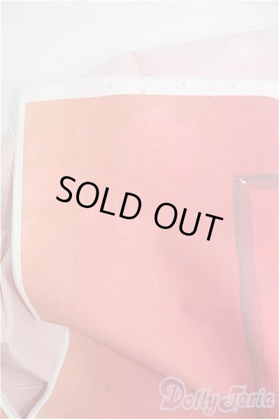 画像4: SD/背景布 I-25-02-16-2133-TO-ZI (4)