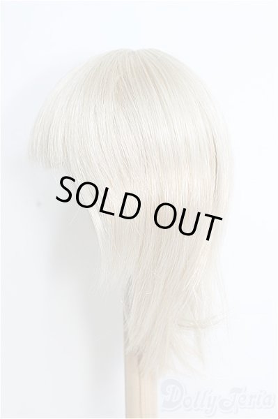 画像2: 9〜10inch/ウィッグ/ I-25-08-10-308-TO-ZI (2)