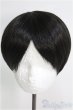 画像1: 8〜9inch/ウィッグ I-25-01-05-2042-TO-ZI (1)