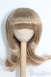 画像1: 8〜9inch/ウィッグ I-25-01-12-3023-TO-ZI (1)