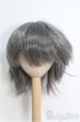 画像1: 8〜9inch/ウィッグ I-25-01-05-3048-TO-ZI (1)