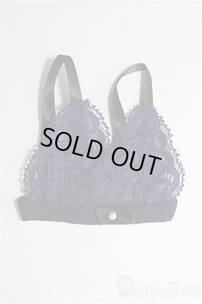 画像1: SD/OF 下着セット I-25-01-26-3061-TO-ZI (1)