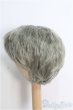 画像2: 【SALE】8~9inch/ウィッグ：カラー I-25-01-05-3047-TO-ZI (2)