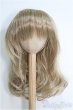 画像1: 9〜10inch/ウィッグ I-25-01-26-2057-TO-ZI (1)