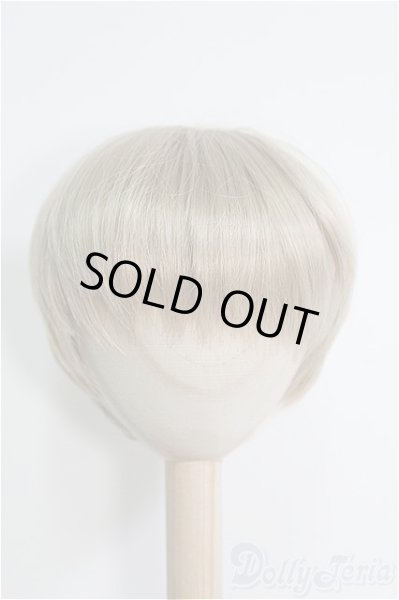画像1: 8〜9inch/ウィッグ I-25-01-26-2044-TO-ZI (1)