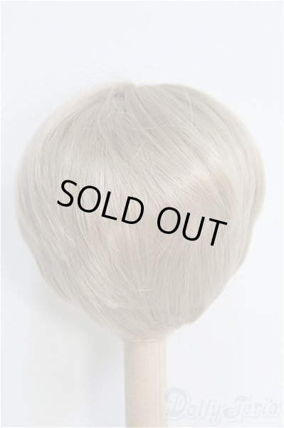 画像3: 8〜9inch/ウィッグ I-25-01-26-2044-TO-ZI (3)