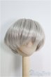 画像1: 7〜8inch/ウィッグ I-25-01-26-2033-TO-ZI (1)
