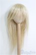 画像1: 9〜10inch/ウィッグ I-25-01-26-2054-TO-ZI (1)