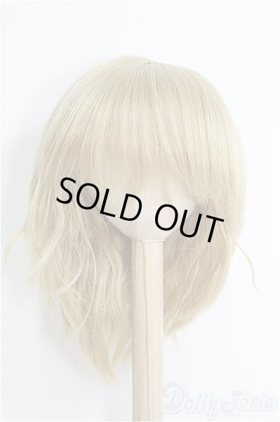 画像1: 9〜10inch/ウィッグ I-25-01-26-2055-TO-ZI (1)