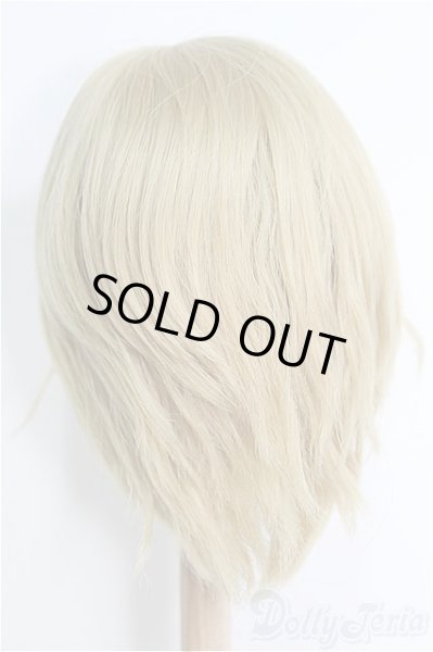 画像3: 9〜10inch/ウィッグ I-25-01-26-2055-TO-ZI (3)