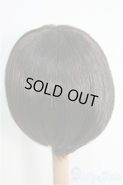 画像2: 8〜9inch/ウィッグ I-25-02-02-2034-TO-ZI (2)