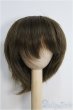 画像1: 7〜8inch/ウィッグ I-25-01-26-2035-TO-ZI (1)
