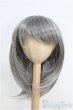 画像1: 8〜9inch/ウィッグ I-25-01-26-3042-TO-ZI (1)