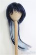 画像1: 8〜9inch/ウィッグ I-25-01-26-2043-TO-ZI (1)
