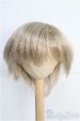 画像1: 9〜10inch/ウィッグ I-25-02-23-2025-TO-ZI (1)