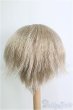 画像2: 9〜10inch/ウィッグ I-25-02-23-2025-TO-ZI (2)