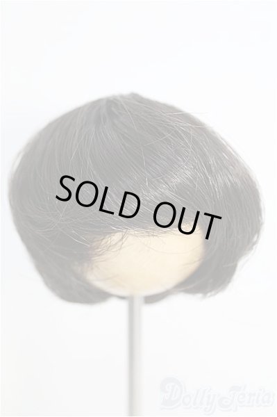 画像1: 6〜7inch/ウィッグ I-25-02-09-2014-TO-ZI (1)