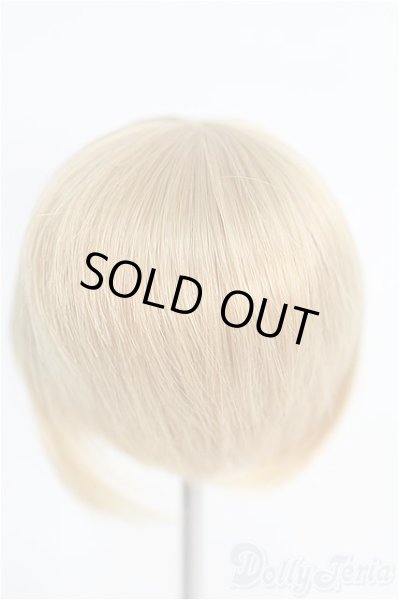 画像2: 7inch/ウィッグ I-25-02-09-2016-TO-ZI (2)