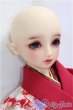 画像4: SD/ちよ：ワンオフモデル/BJD　球体関節人形 I-25-11-30-296-TO-ZI (4)