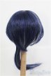 画像2: 9〜10inch/ウィッグ I-25-03-02-3030-TO-ZI (2)