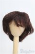 画像1: 8〜9inch/ウィッグ I-25-02-16-3022-TO-ZI (1)