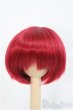 画像1: 8〜9inch/ウィッグ I-25-03-02-3024-TO-ZI (1)