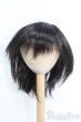 画像1: 8〜9inch/ウィッグ I-25-05-25-2026-TO-ZI (1)