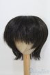 画像1: 8〜9inch/ウィッグ/ I-25-07-13-2023-TO-ZI (1)