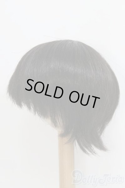 画像2: 8〜9inch/ウィッグ/ I-25-07-13-2023-TO-ZI (2)