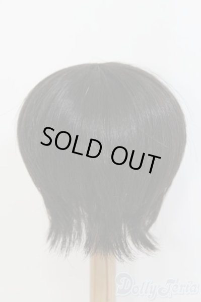 画像3: 8〜9inch/ウィッグ/ I-25-07-13-2023-TO-ZI (3)