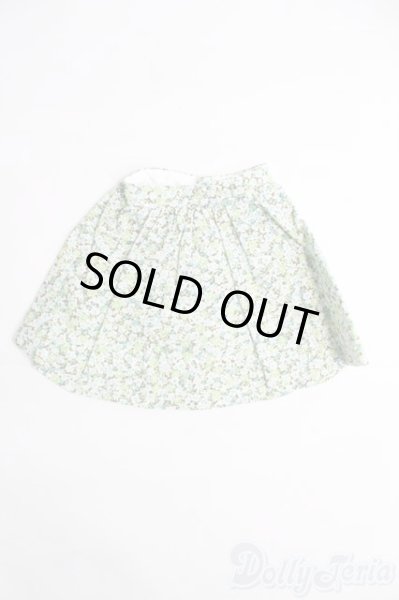 画像1: MSD/OF スカート I-25-04-20-2058-TO-ZI (1)