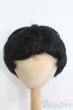 画像1: 8〜9inch/ウィッグ I-25-04-20-2021-TO-ZI (1)