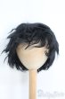 画像1: 8〜9inch/ウィッグ I-25-05-25-2022-TO-ZI (1)