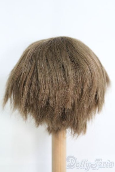 画像3: 8〜9inch/ウィッグ I-25-04-20-3026-TO-ZI (3)