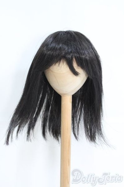 画像1: 8〜9inch/ウィッグ I-25-05-25-2025-TO-ZI (1)