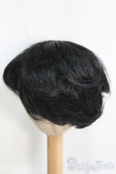 画像2: 8〜9inch/ウィッグ I-25-04-20-3025-TO-ZI (2)