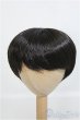 画像1: 8〜9inch/ウィッグ I-25-03-23-2024-TO-ZI (1)