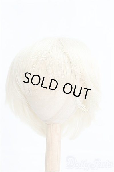 画像1: 8〜9inch/ウィッグ I-25-03-30-2024-TO-ZI (1)