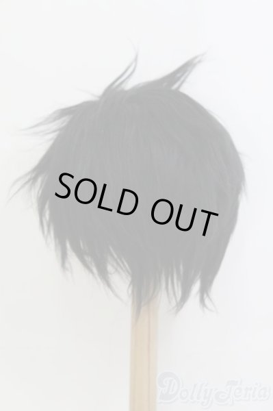 画像3: 8〜9inch/ボアウィッグ/ I-25-07-13-2028-TO-ZI (3)