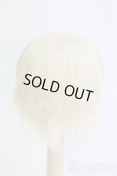 画像2: 6〜7inch/ボアウィッグ I-25-05-04-2019-TO-ZI (2)