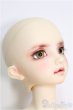 画像3: 【SALE】SD/F-59 ワンオフモデル I-24-10-06-1082-TO-ZI (3)